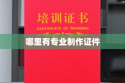 庄河哪里有专业制作证件